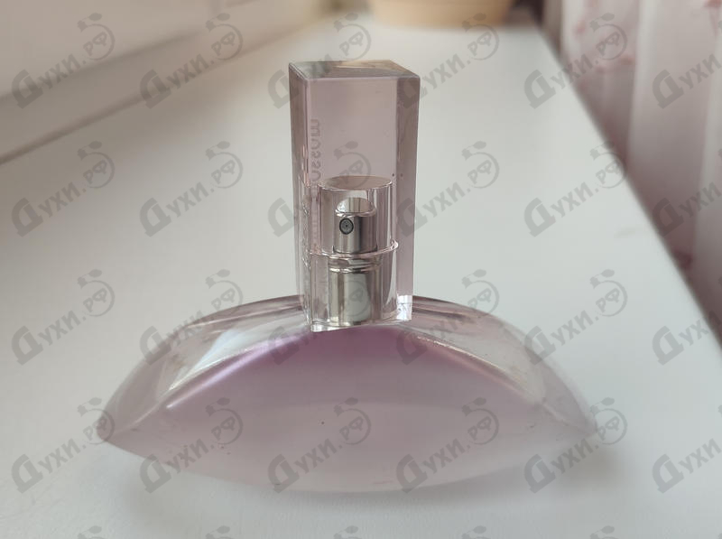 Купить Euphoria Blossom от Calvin Klein