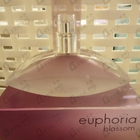 Парфюм Calvin Klein Euphoria Blossom