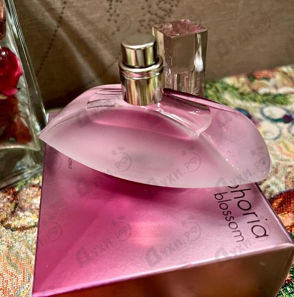 Отзывы Calvin Klein Euphoria Blossom Духи Euphoria Blossom от Calvin Klein