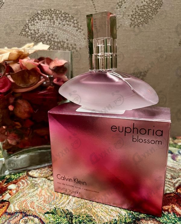 Calvin Klein Euphoria Blossom