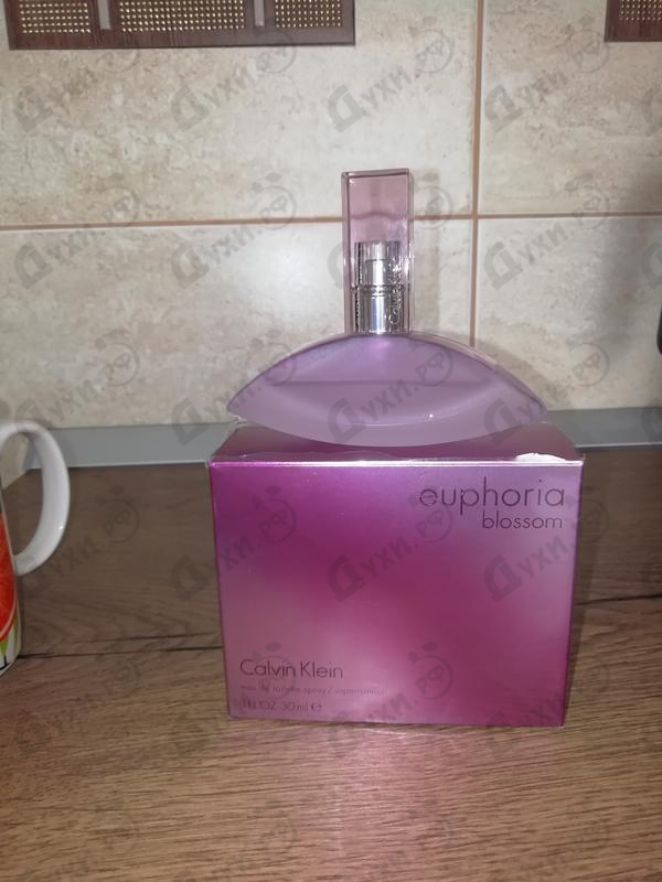 Парфюм Calvin Klein Euphoria Blossom Купить Euphoria Blossom от Calvin Klein