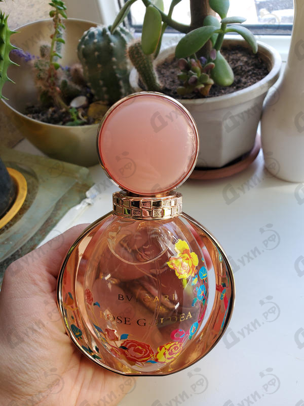 Духи Rose Goldea Jacky Tsai Edition от Bvlgari Отзыв Bvlgari Rose Goldea Jacky Tsai Edition