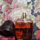 Парфюм Calvin Klein Obsession