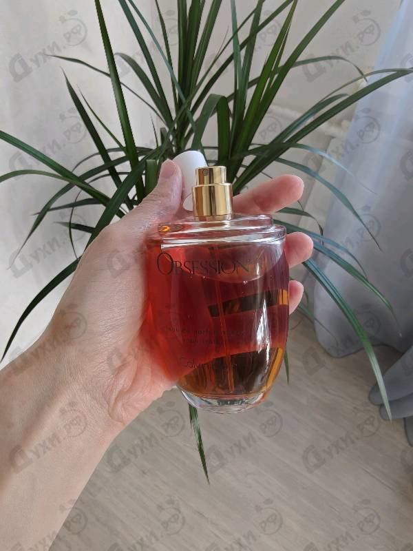 Купить Obsession от Calvin Klein