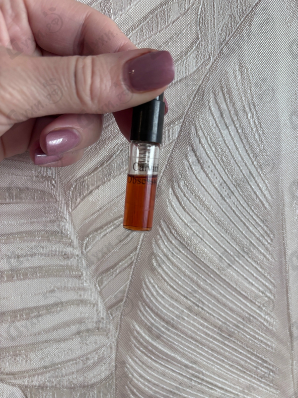 Купить Obsession от Calvin Klein