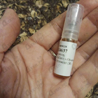 Духи Obsession от Calvin Klein