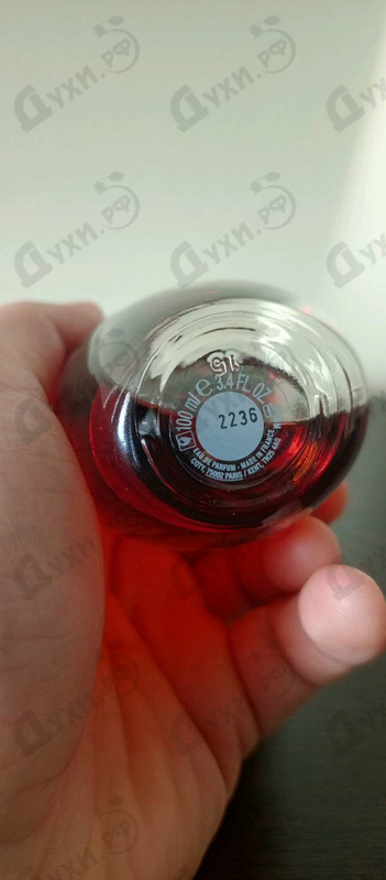 Купить Calvin Klein Obsession