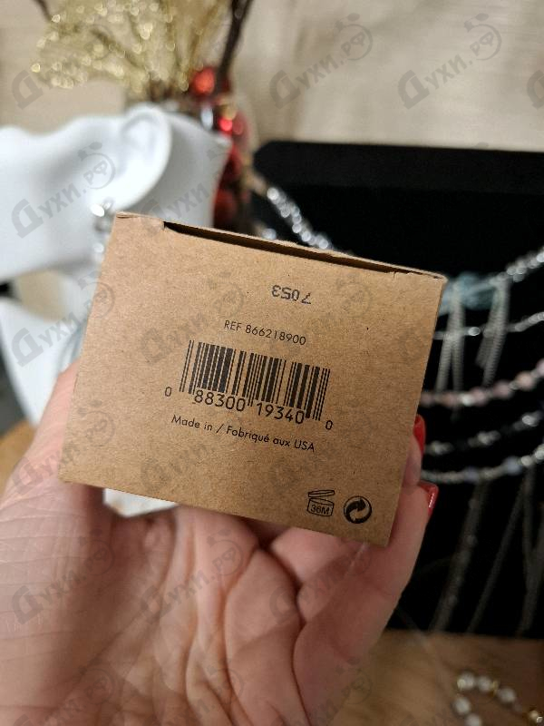 Купить Obsession от Calvin Klein