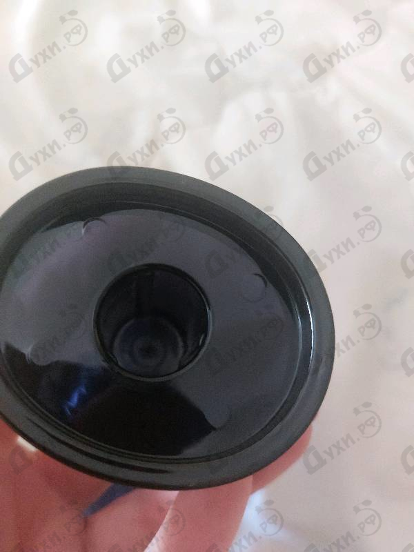 Купить Obsession Night от Calvin Klein