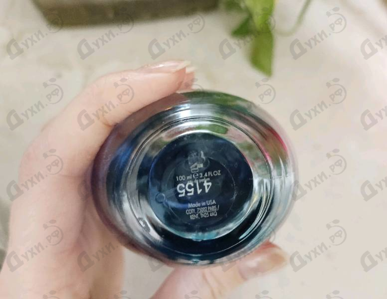 Купить Obsession Night от Calvin Klein