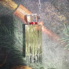 Духи Medea от Carla Fracci