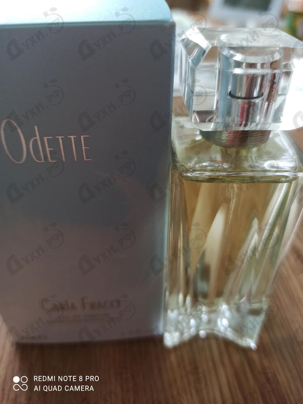 Купить Odette от Carla Fracci