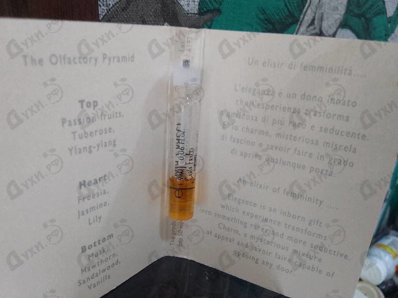 Купить Carla Fracci Women