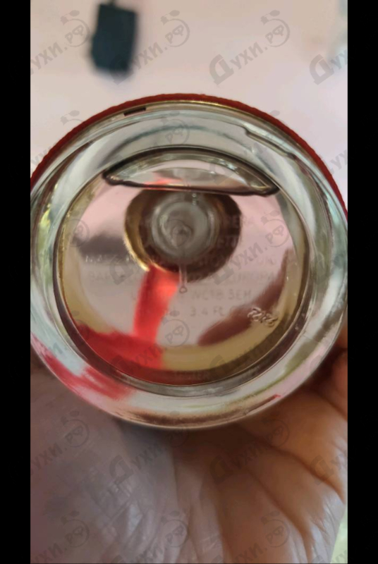 Купить CH от Carolina Herrera