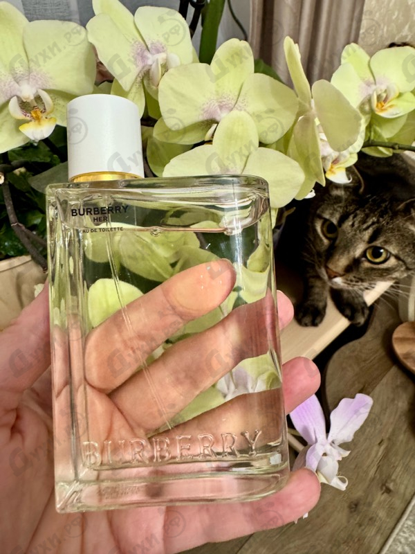 Духи Her Eau De Toilette от Burberry
