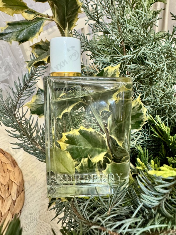 Отзыв Burberry Her Eau De Toilette