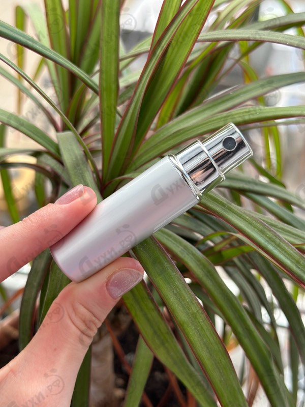 Отзыв Gucci Guilty Eau De Parfum Intense Парфюмерия Guilty Eau De Parfum Intense от Gucci