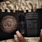 Отзыв V Canto Leon