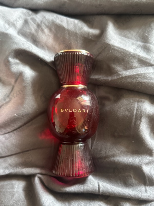 Купить Allegra Baciami от Bvlgari