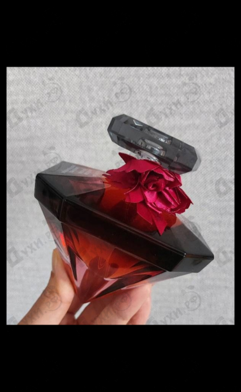 Купить La Nuit Tresor Intense от Lancome