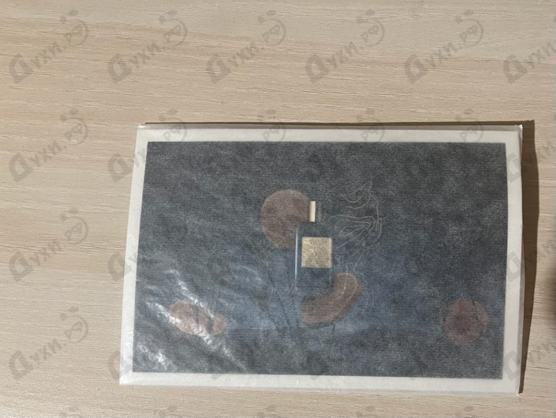 Купить Gaiac Eternel Eau De Parfum от Atelier Cologne