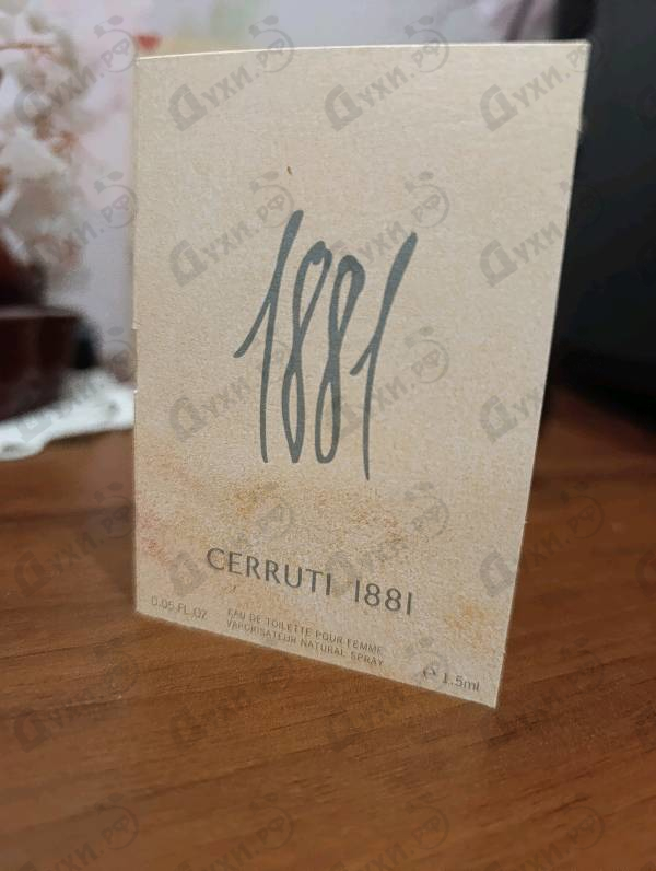Отзывы Cerruti 1881