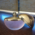 Отзыв Cerruti 1881