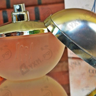 Отзыв Cerruti 1881