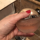 Отзыв Cerruti 1881