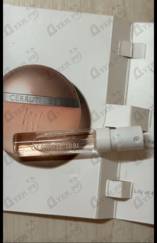 Купить 1881 от Cerruti