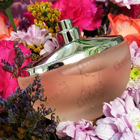 Отзыв Cerruti 1881