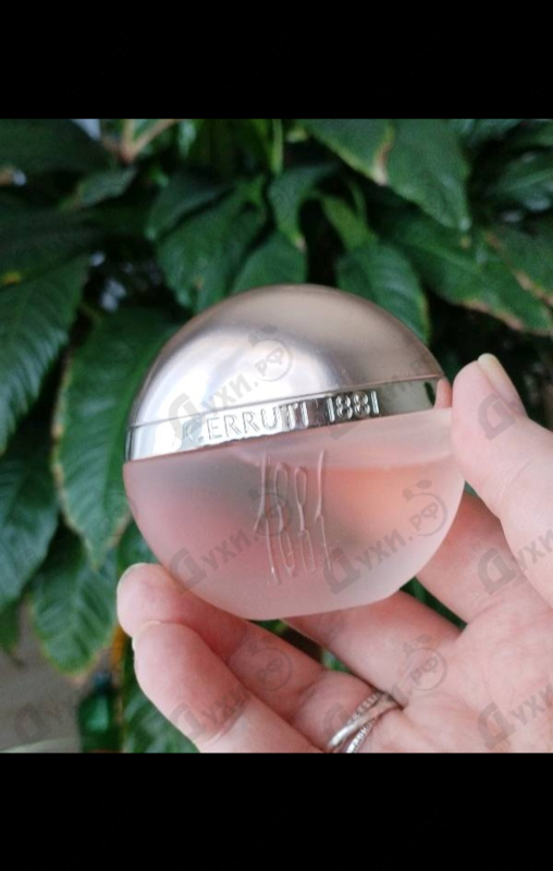 Купить Cerruti 1881