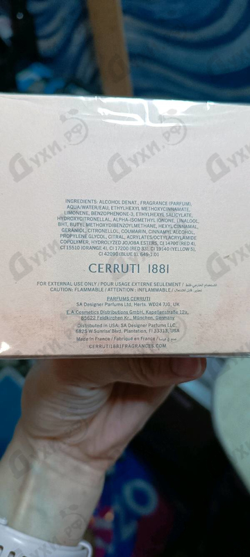 Купить 1881 от Cerruti