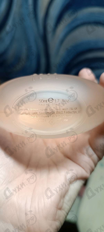 Купить 1881 от Cerruti