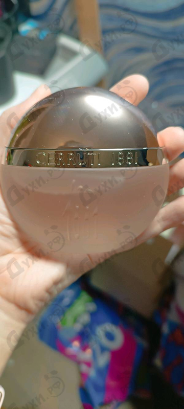 Купить 1881 от Cerruti