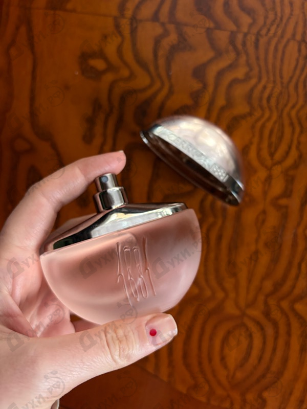 Купить Cerruti 1881