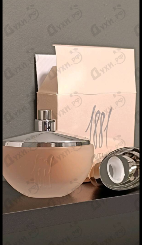 Отзывы Cerruti 1881