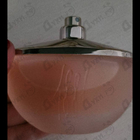 Отзывы Cerruti 1881