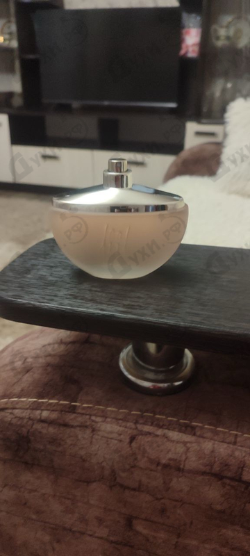 Парфюмерия 1881 от Cerruti