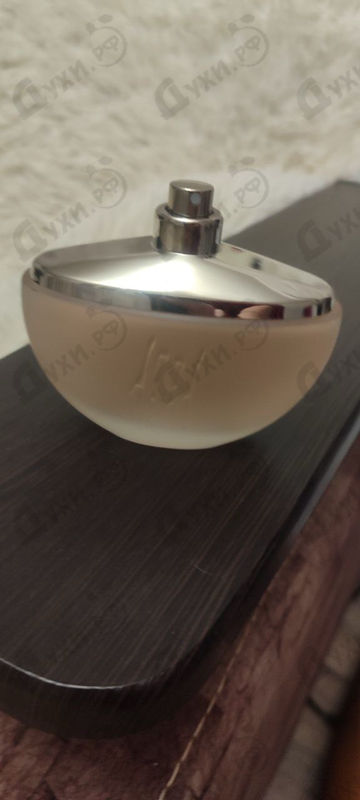 Купить 1881 от Cerruti