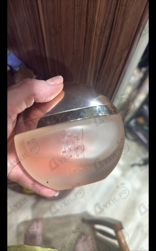 Купить 1881 от Cerruti