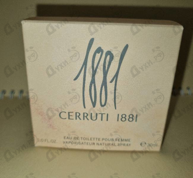 Купить 1881 от Cerruti