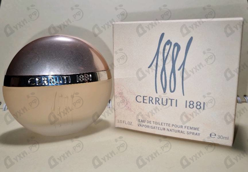 Купить 1881 от Cerruti