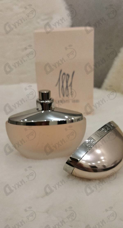 Купить Cerruti 1881