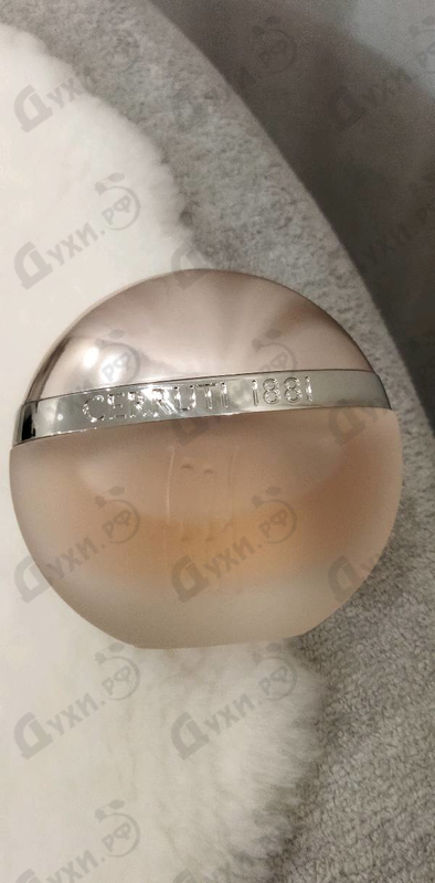 Отзывы Cerruti 1881