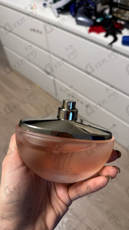 Купить 1881 от Cerruti