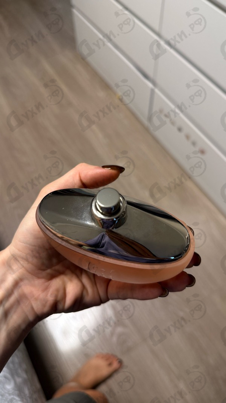 Купить 1881 от Cerruti