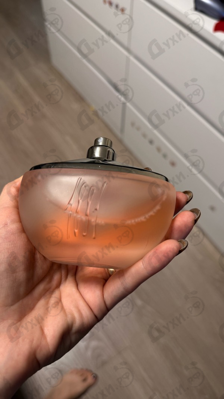 Отзывы Cerruti 1881