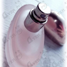 Парфюм Cerruti 1881