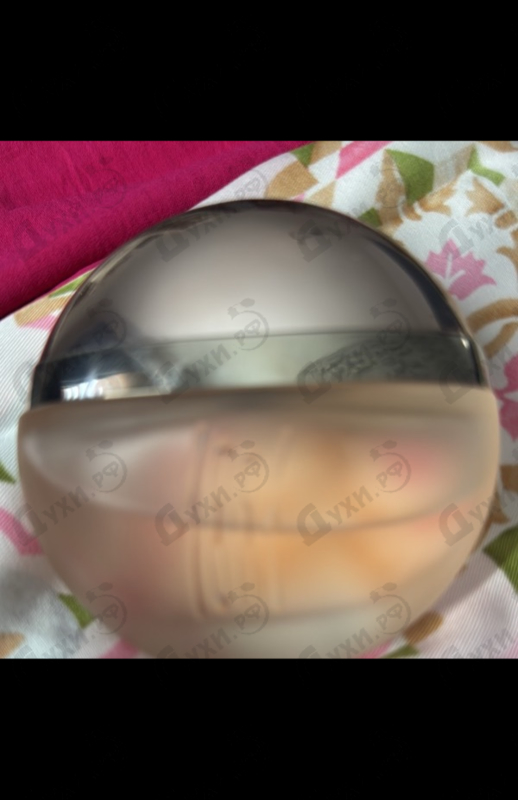 Купить 1881 от Cerruti